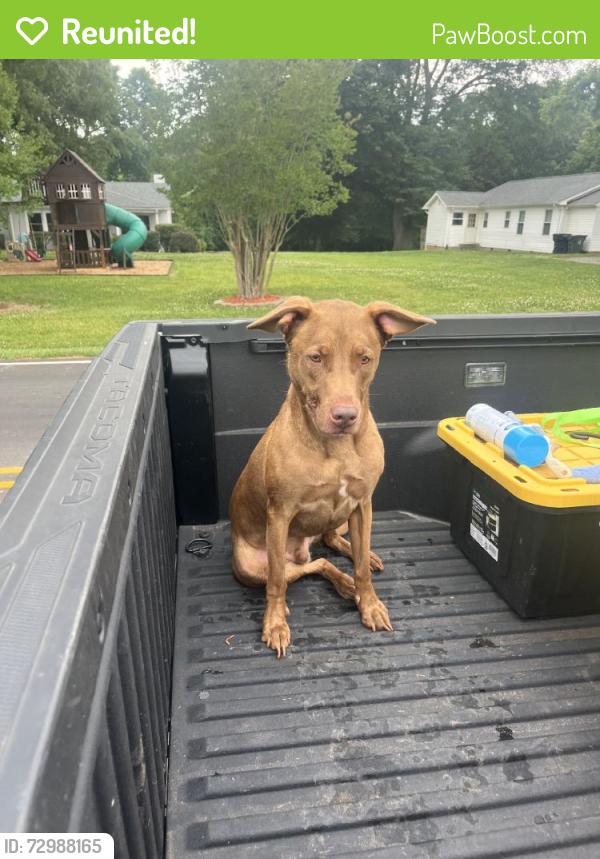 Reunited Male Dog last seen Near Serenity St, Huntersville, NC 28078, USA, Huntersville, NC 28078