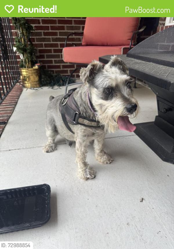 Reunited Male Dog last seen Geranium Dr, Fayetteville, NC 28314, USA, Fayetteville, NC 28314