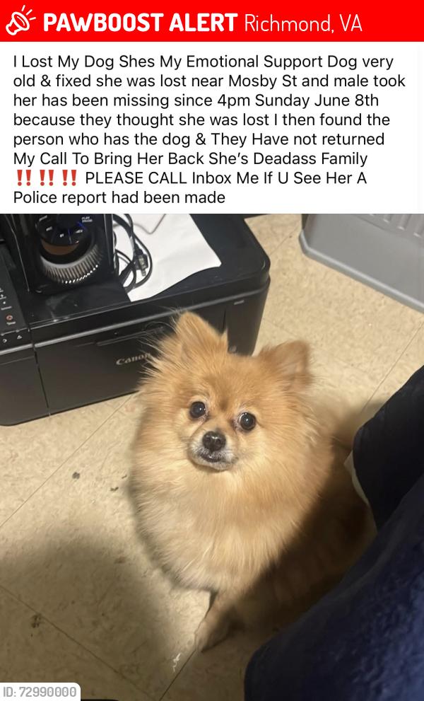 Lost Female Dog last seen Jefferson s , Richmond, VA 23223