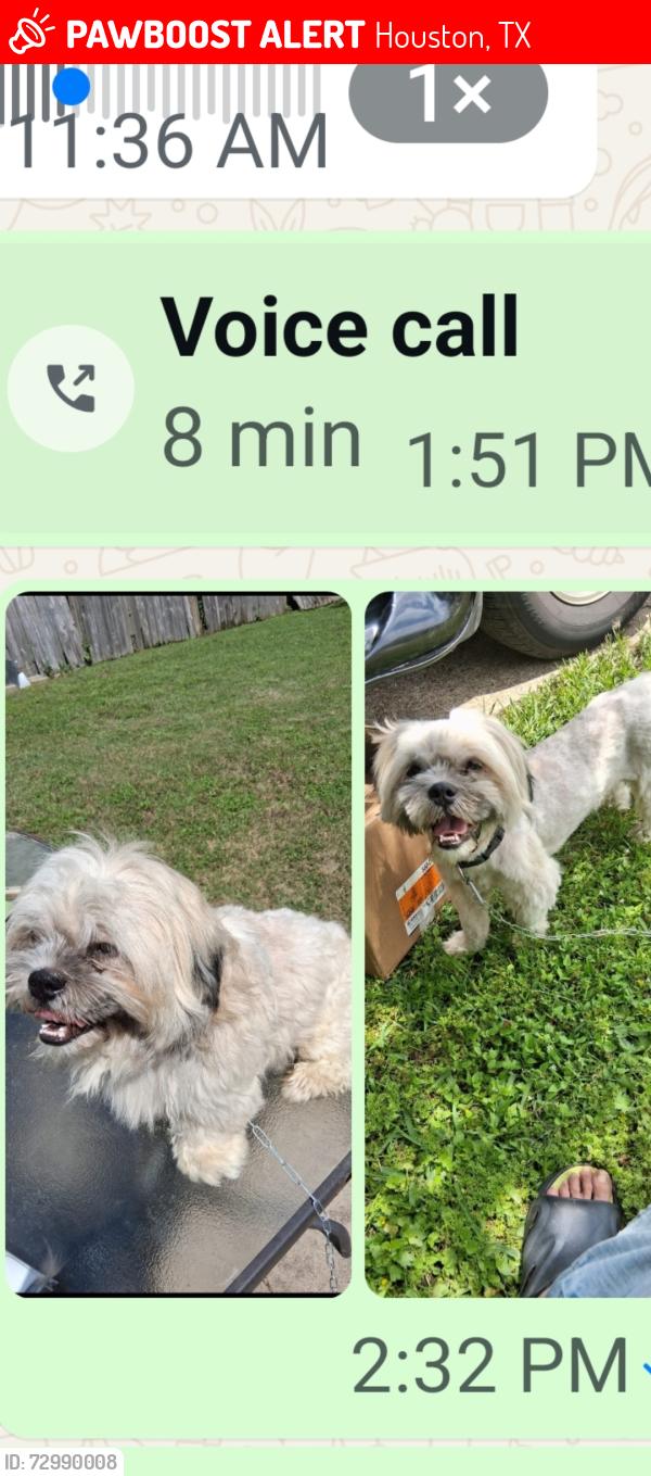 Lost Male Dog last seen Vally lake dr 77078, Houston, TX 77078
