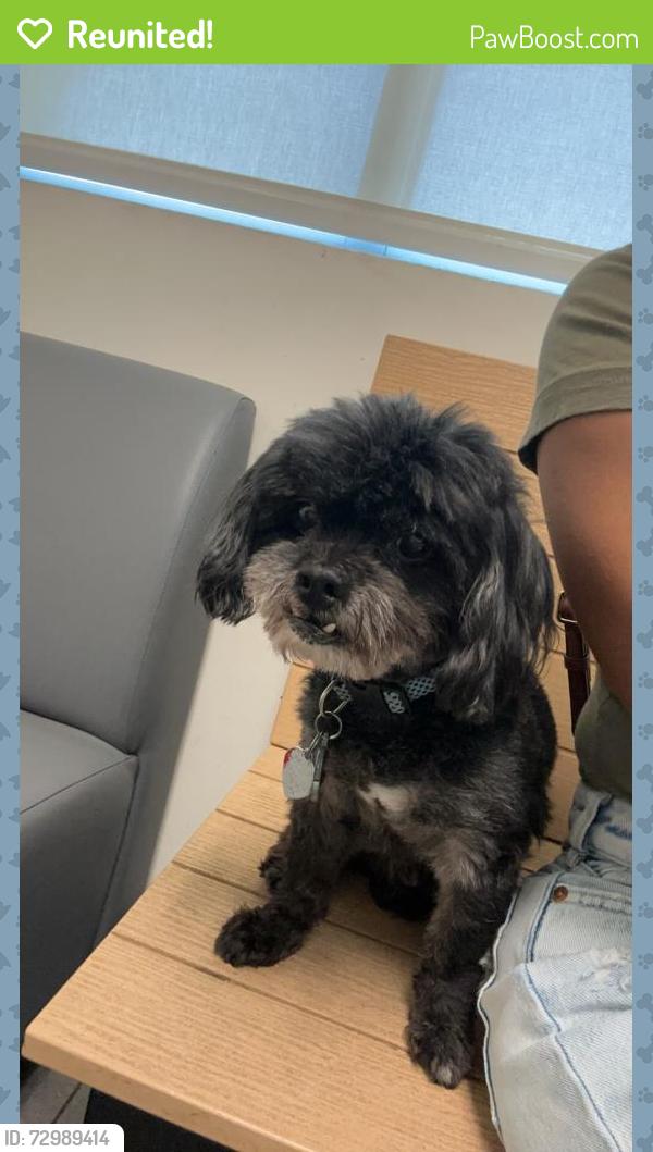 Reunited Male Dog last seen Dormy circle, Fayetteville, NC 28314