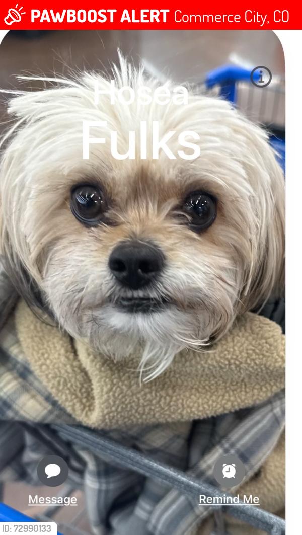 Lost Male Dog last seen Near Richfield st , Commerce City, CO 80022