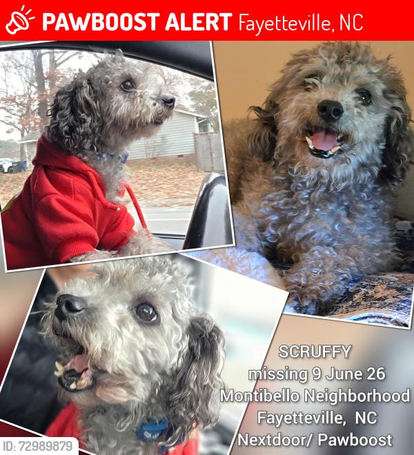 Lost Male Dog last seen Prestige Blvd and Calamar St., Fayetteville, NC 28314