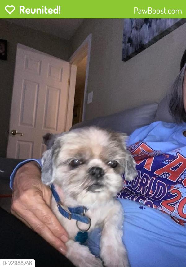 Reunited Male Dog last seen Bolt St near La Gran Plaza, Fort Worth, TX 76110