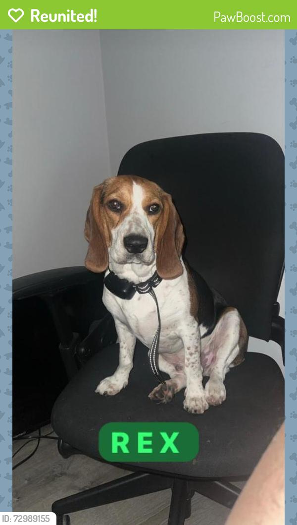 Reunited Male Dog last seen Address listed , Sandston, VA 23150