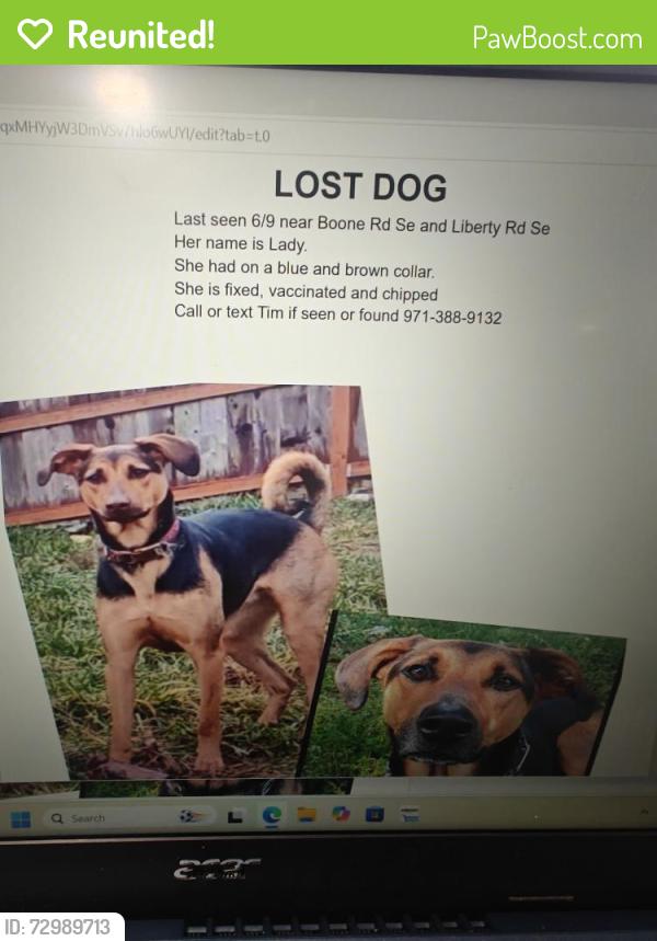 Reunited Female Dog last seen Boone Rd SE and Liberty Rd SE , Salem, OR 97306