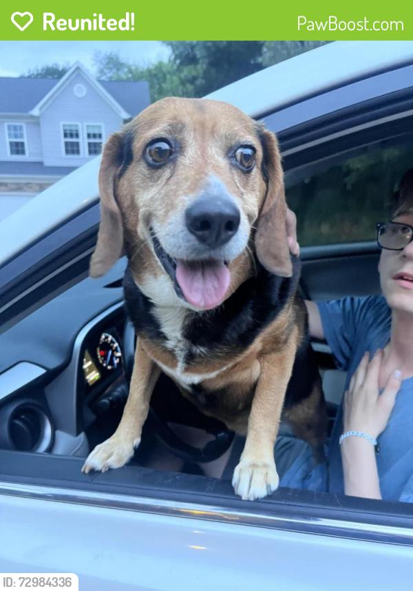 Reunited Male Dog last seen Liberty and Smokey Park Hwy, Candler, NC 28715
