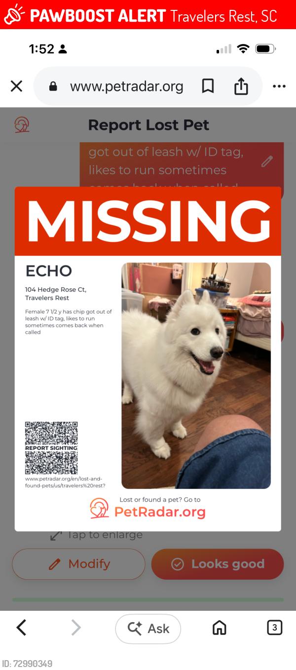 Lost Female Dog last seen Near hedge rose court, woodland creek subdivision travelers Rest SC, Travelers Rest, SC 29690