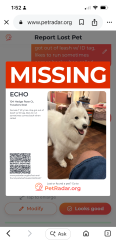 Lost Female Dog last seen Near hedge rose court, woodland creek subdivision travelers Rest SC, Travelers Rest, SC 29690