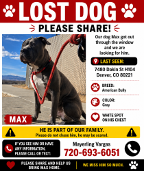 Reunited Male Dog last seen Near dakin st , Denver, CO 80221