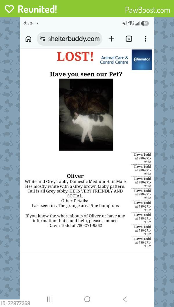 Reunited Male Cat last seen The grabge, Edmonton, AB 