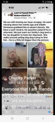 Lost Male Dog last seen Robert's lane and airport, Bakersfield, CA 93308