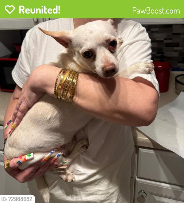 Reunited Male Dog last seen River Rd, Hopewell, VA, USA, Hopewell, VA 23836