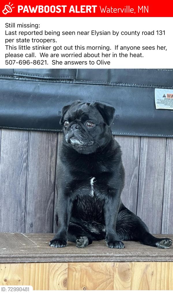 Lost Female Dog last seen Mile marker 131, Waterville, MN 56096
