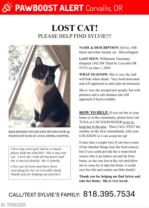 Lost Female Cat last seen Willamette Vet on 3rd St & storage behind animal hospiral, Corvallis, OR 97333