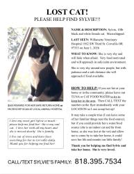 Lost Female Cat last seen Willamette Vet on 3rd St & storage behind animal hospiral, Corvallis, OR 97333