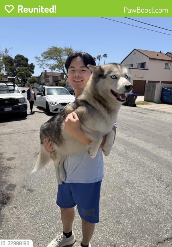 Reunited Unknown Dog last seen Larson Avenue & Monroe - Garden Grove , Garden Grove, CA 92844