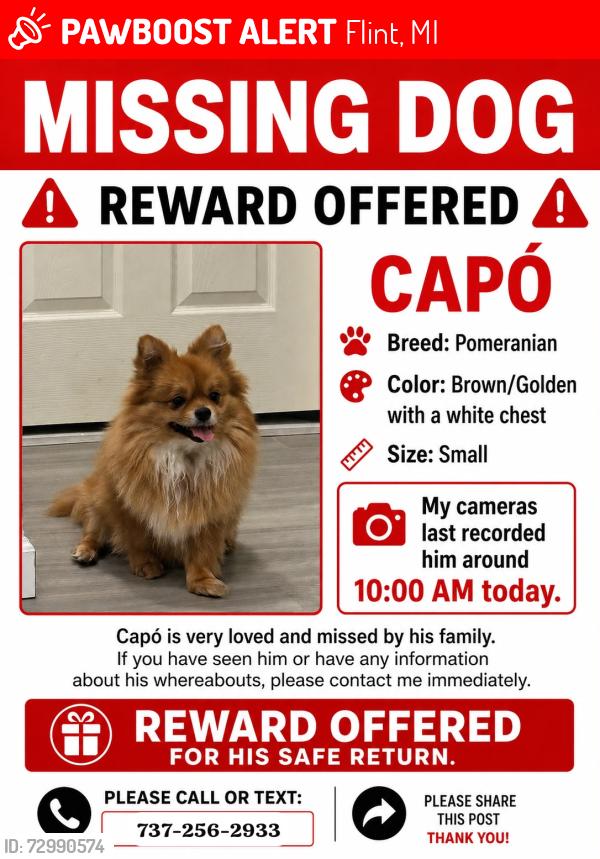 Lost Male Dog last seen Nathan ave and branch rd , Flint, MI 48506