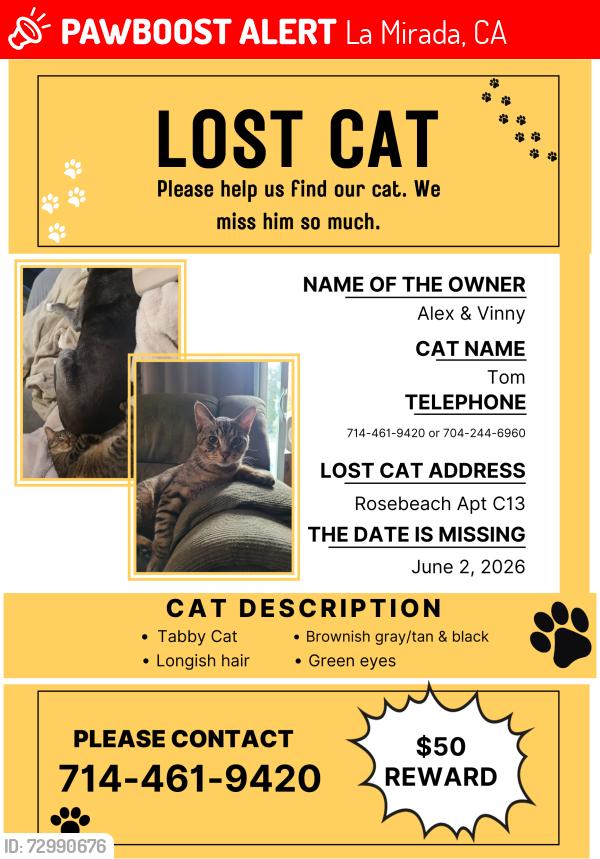 Lost Male Cat last seen Beach Blvd and Rosecrans Ave, La Mirada, CA 90638