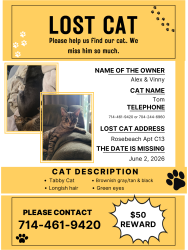 Lost Male Cat last seen Beach Blvd and Rosecrans Ave, La Mirada, CA 90638
