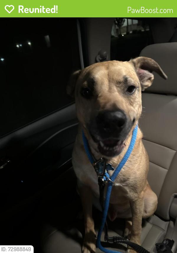 Reunited Male Dog last seen 150th and N. Council Road, Oklahoma City, OK 73013