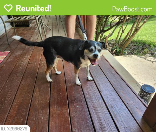 Reunited Unknown Dog last seen Red Maple Dr. Off of North Buncombe School Rd., Buncombe County, NC 28787