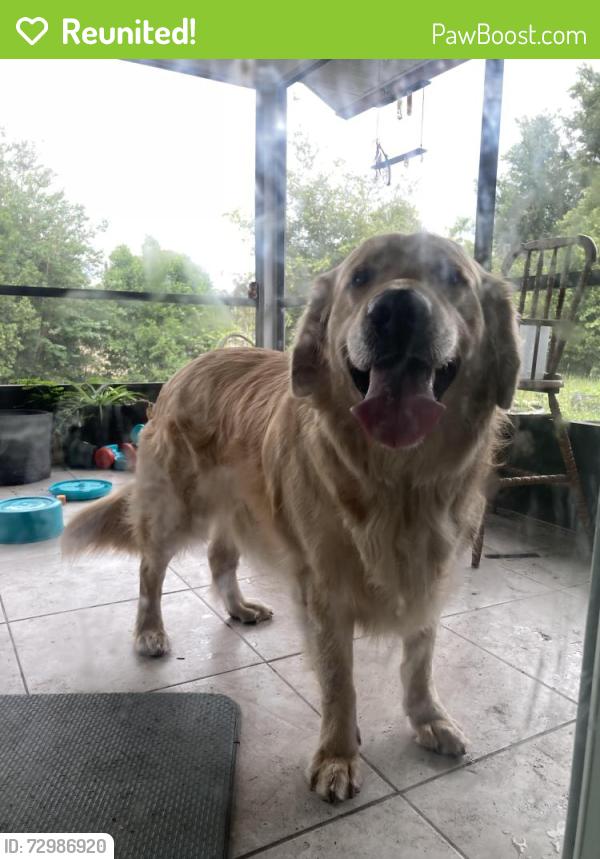Reunited Unknown Dog last seen Sixma road/howland blvd, Deltona, FL 32725