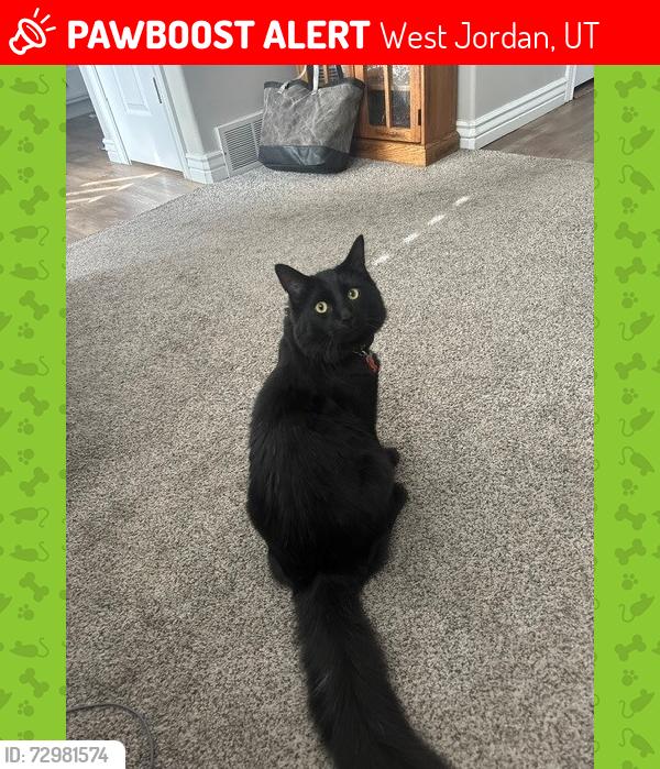 Lost Male Cat last seen Near w 6700 S , West Jordan, UT 84084