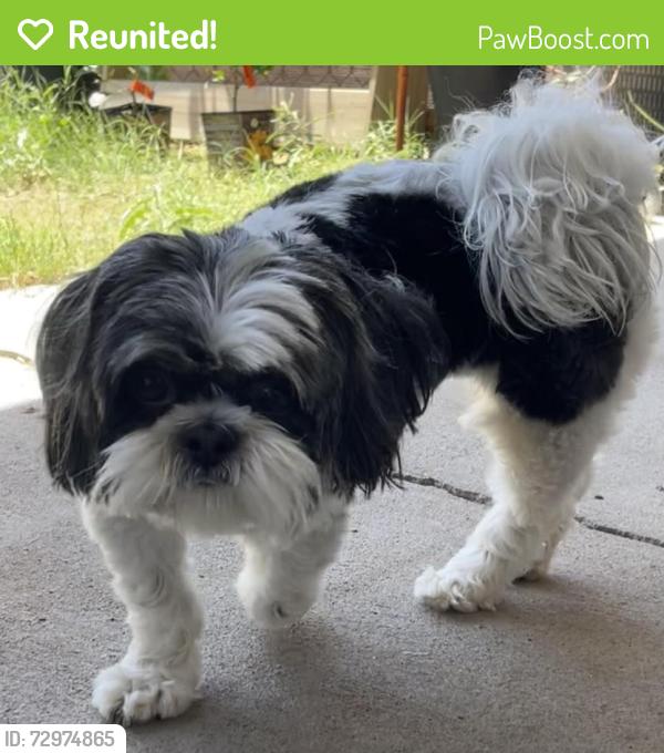 Reunited Female Dog last seen Treadgill St. & McComds St., El Paso, TX 79924