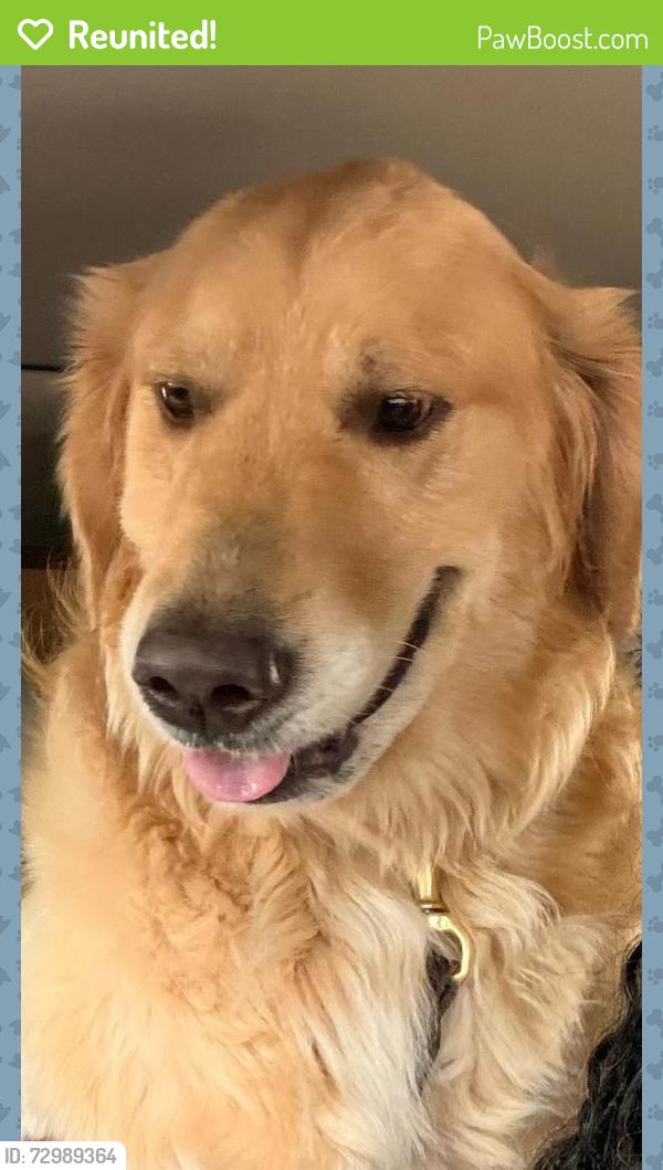 Reunited Male Dog last seen Howland Blvd, Deltona, FL 32738