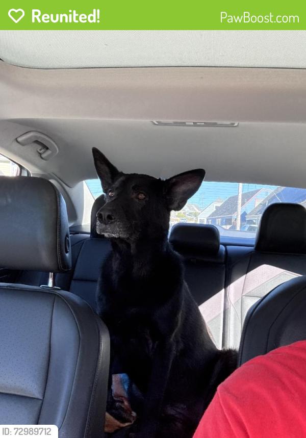 Reunited Unknown Dog last seen Near Lockhaven Dr, Pacifica, CA 94044, USA, Pacifica, CA 94044