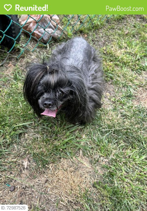 Reunited Unknown Dog last seen My yard , Cokeburg, PA 15324