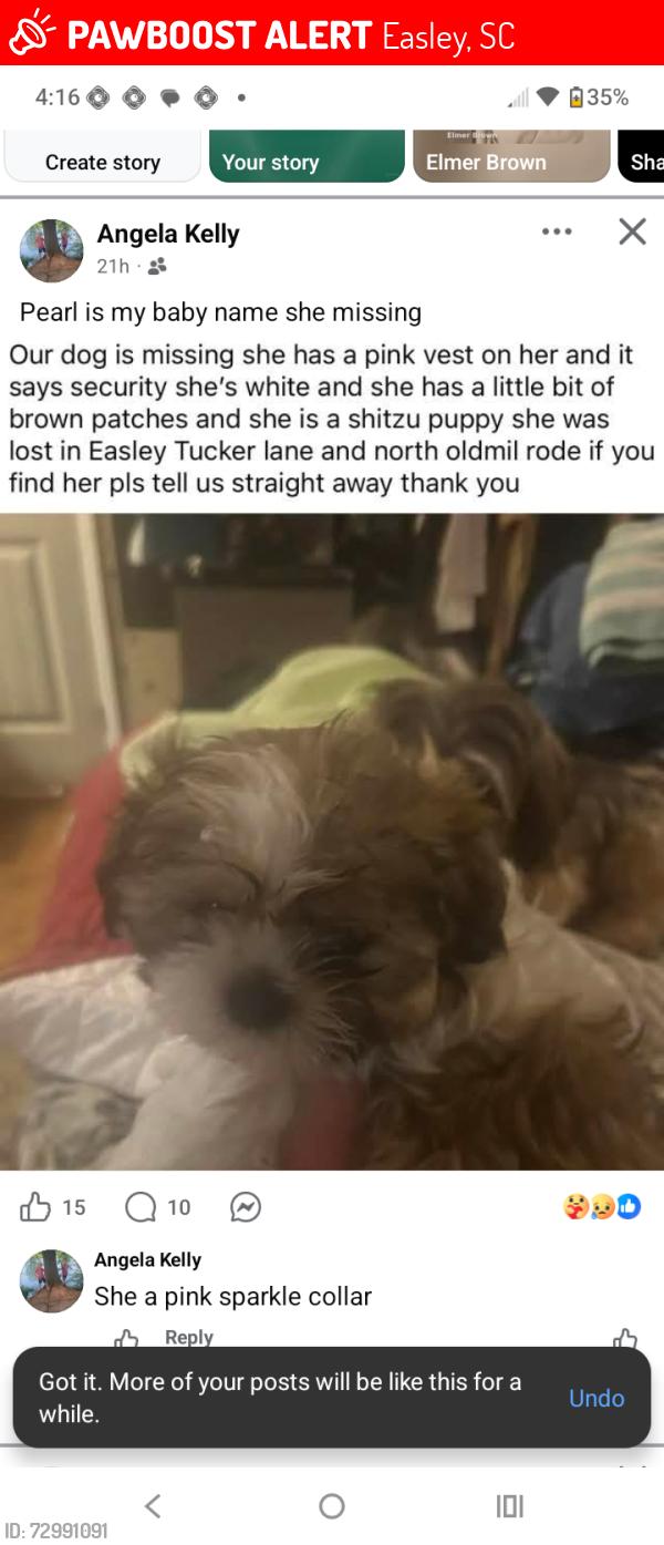 Lost Female Dog last seen Farrs bridge rd sc-183, Easley, SC 29640