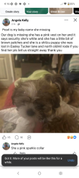 Lost Female Dog last seen Farrs bridge rd sc-183, Easley, SC 29640