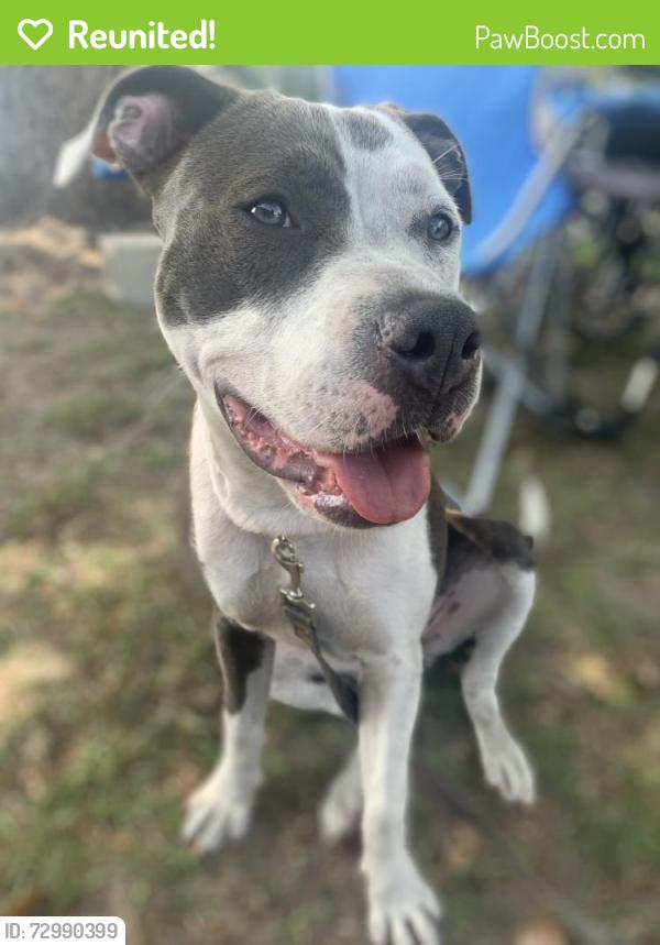 Reunited Female Dog last seen Grove Dr & Woodmere, Sanford, FL 32773