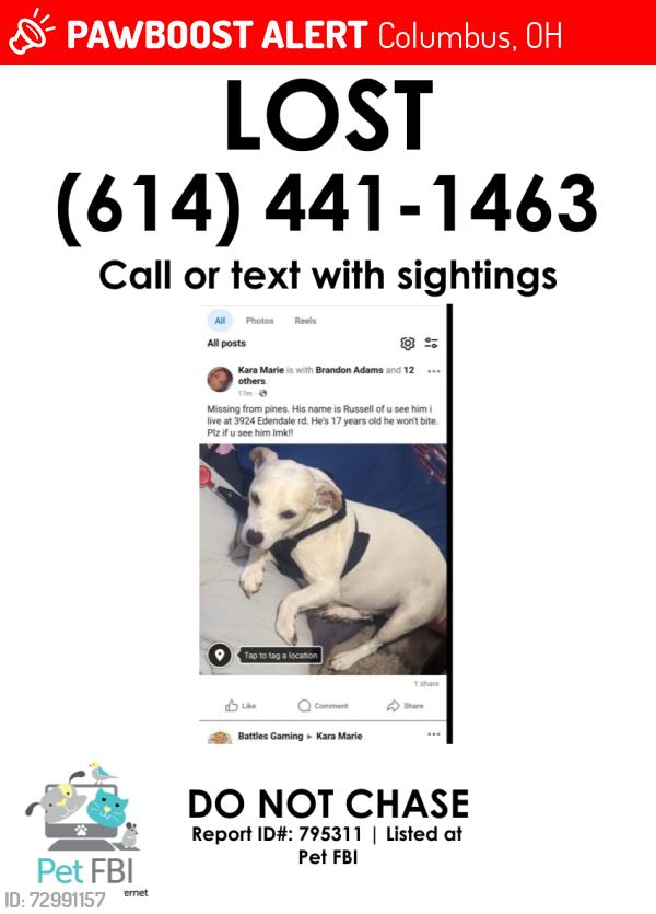 Lost Male Dog last seen Near edendale rd, Columbus, OH 43207