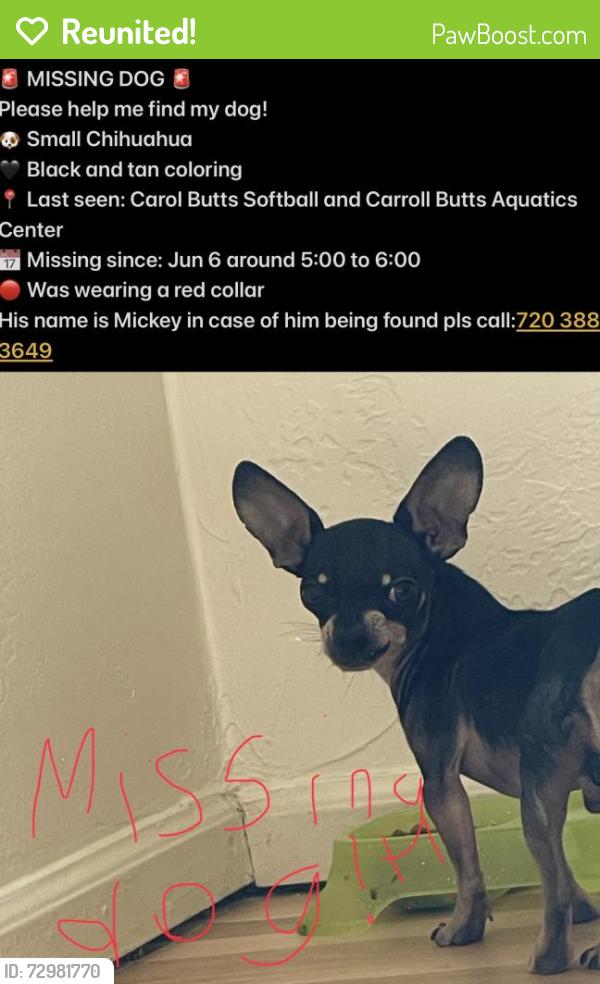 Reunited Male Dog last seen Carol butts softball , Westminster, CO 80031