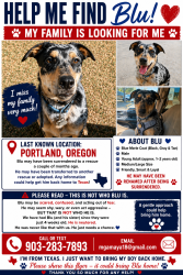 Lost Male Dog last seen None, Portland, OR 97204