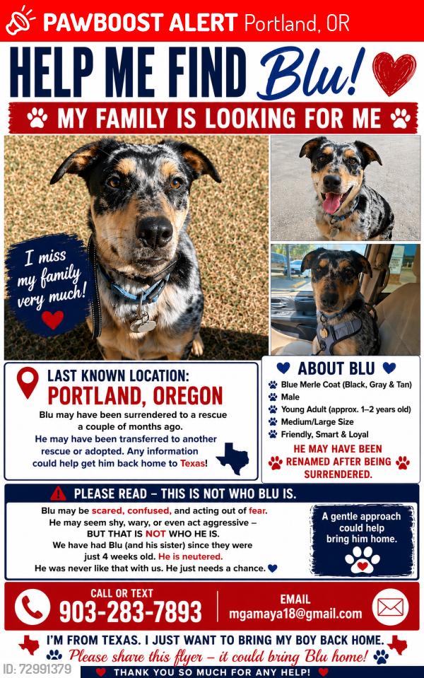 Lost Male Dog last seen None, Portland, OR 97204