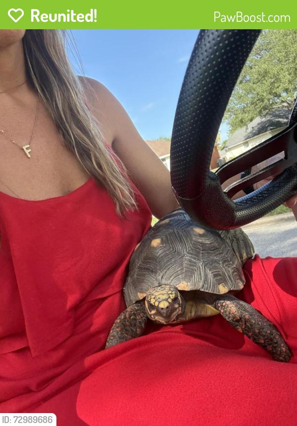 Reunited Male Reptile last seen Golf Ridge Dr & 207, Elkton, FL 32033