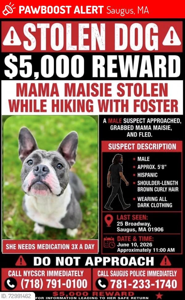 Lost Female Dog last seen Hawkens pond, Saugus, MA 01906