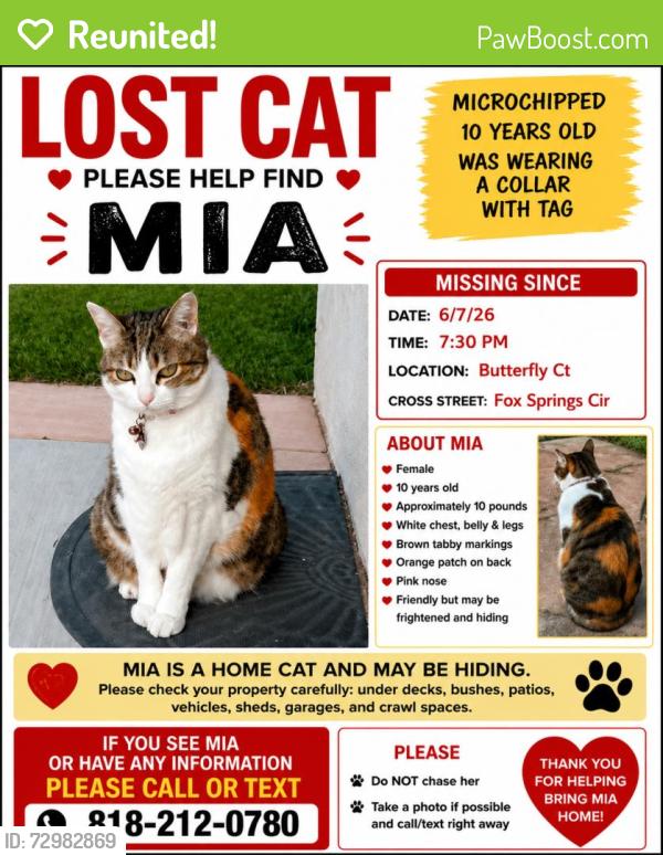 Reunited Female Cat last seen Butterfly Ct. Newbury Park, Thousand Oaks, CA 91320