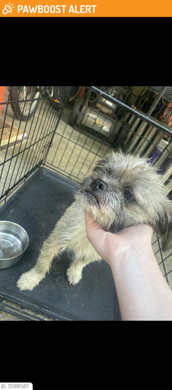 Found/Stray Male Dog last seen Sullivan/Wmbler, Davidson County, NC 27360