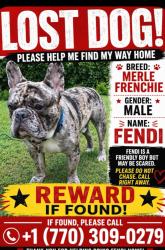 Lost Male Dog last seen Embassy trace , Clayton County, GA 30296