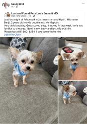 Lost Male Dog last seen Holy Spirit Catholic Church, Lee's Summit, MO 64082