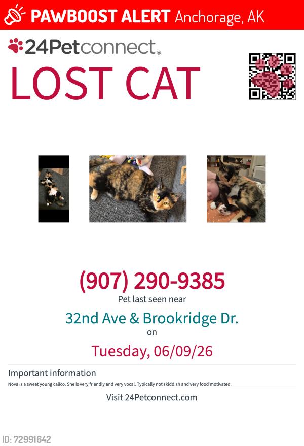 Lost Female Cat last seen Brookridge Dr. , Anchorage, AK 99504