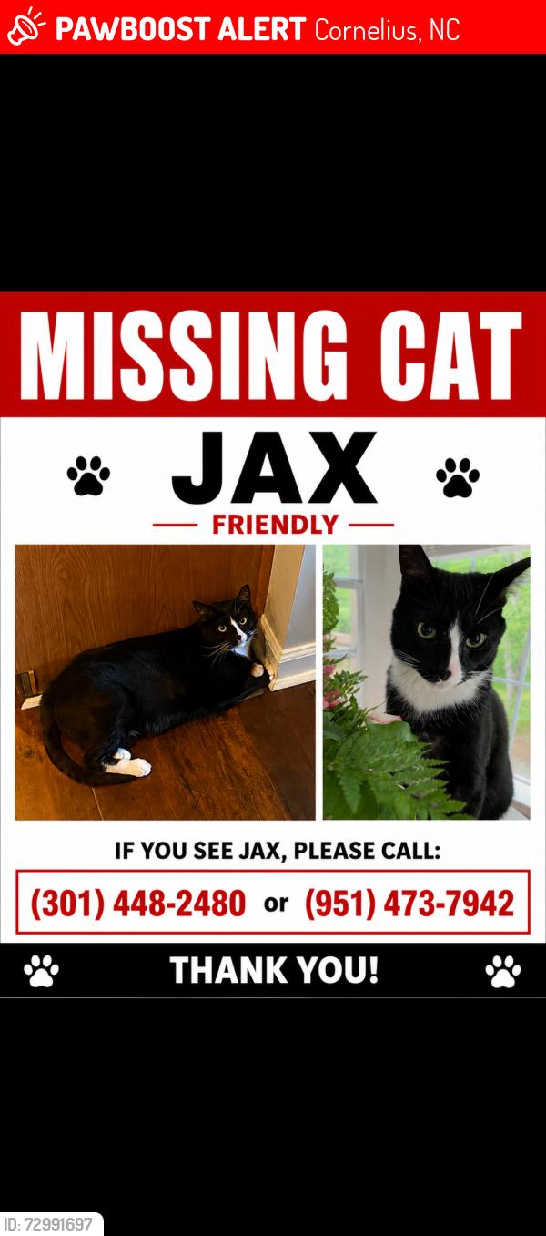 Lost Male Cat last seen Pine Ridge Dr., Cornelius, Cornelius, NC 28031