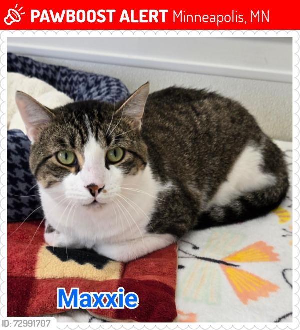 Lost Male Cat last seen 46xx Block of Washburn Ave S, Minneapolis, MN 55410