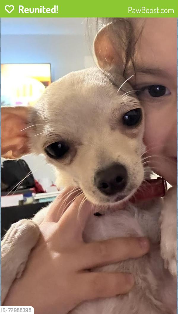 Reunited Female Dog last seen 70th and Niagara St, Commerce City, CO 80022