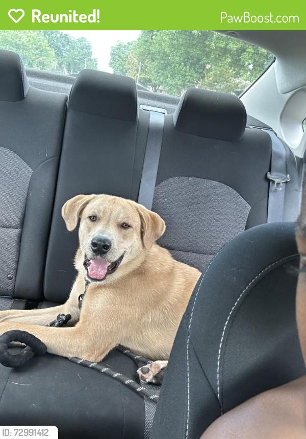 Reunited Male Dog last seen Amblewood Dr & Monticeto Ln, Meadows Place, TX 77477, USA, Meadows Place, TX 77477